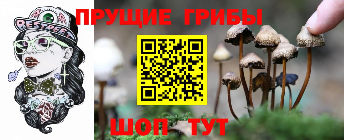 Галлюциногенные грибы Cubensis  Псилоцибиновые грибы ЛСД  Котельники  Вход с VPN 